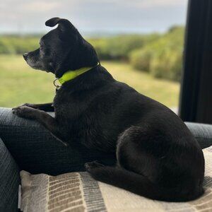 Meet your Posher, Ron